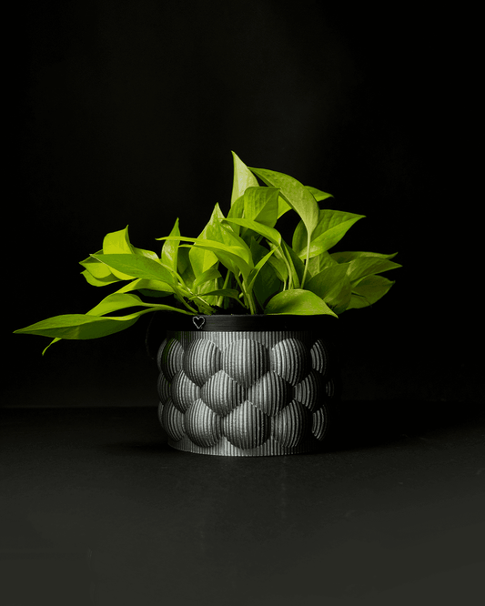 3D PET-G Self Watering Planter Customizable