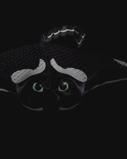 Many, the Manta Ray